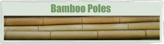 Buy Bamboo Poles Northern California Sacramento